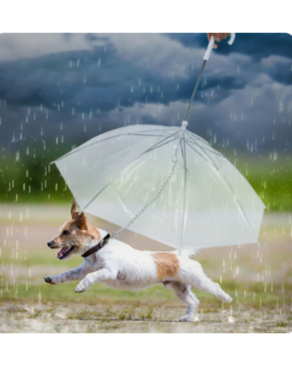 Guarda chuva Pet