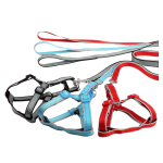 Peitoral com guia para cães e gatos