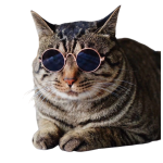 Óculos de sol para cachorro e gato