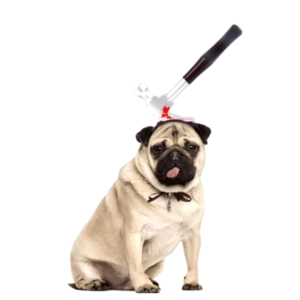Tiara Divertida de halloween para cachorro e gato