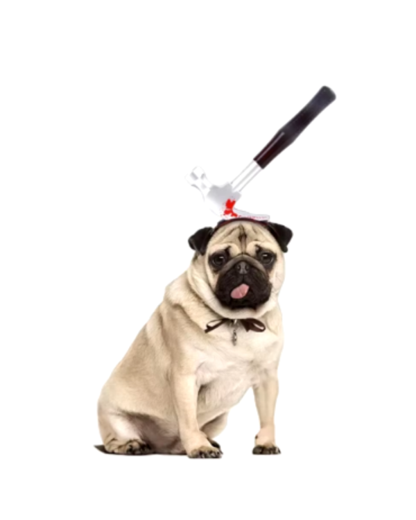 Tiara Divertida de halloween para cachorro e gato