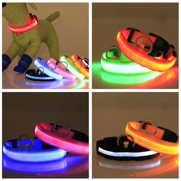 Coleira com luz de led recarregável para cachorro e gato